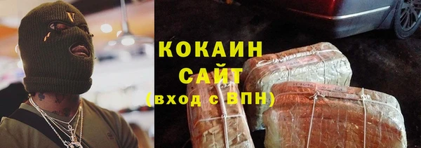 дживик Белокуриха
